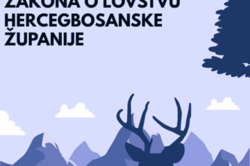 Blue Illustrative Wildlife Discovery Carousel Instagram Post (1)