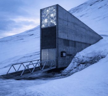 ChatGPT Image Jan 17, 2026, 08_44_15 AM