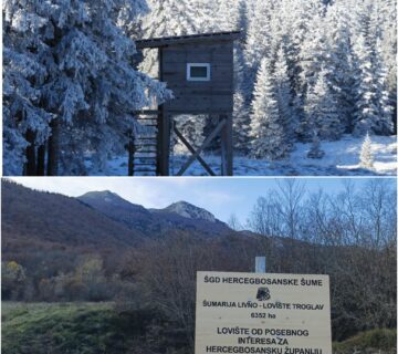 53287e0a 5a56 4a44 8383 7a3e802ca1da 360x320