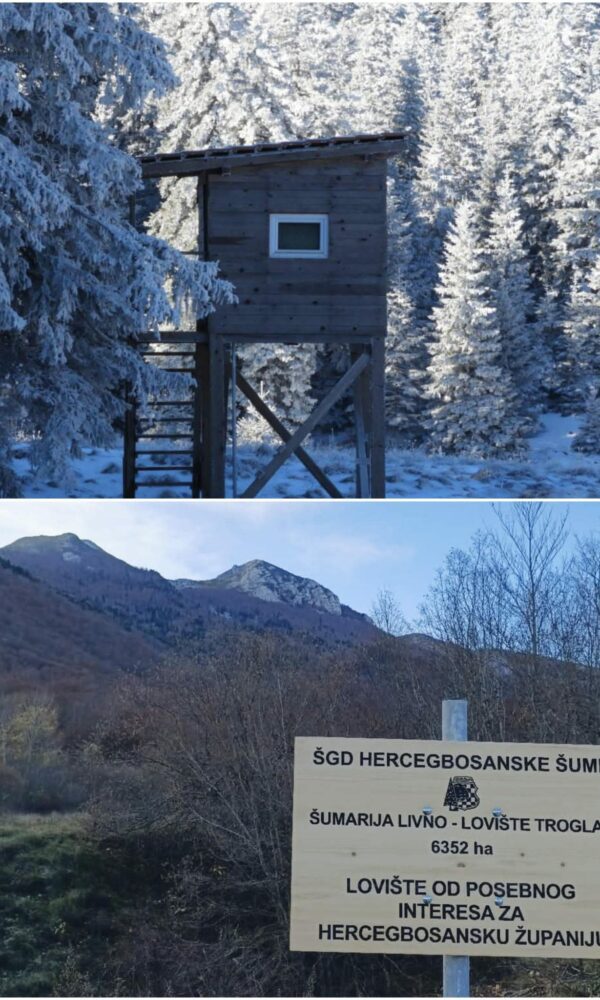 53287e0a 5a56 4a44 8383 7a3e802ca1da 600x1000