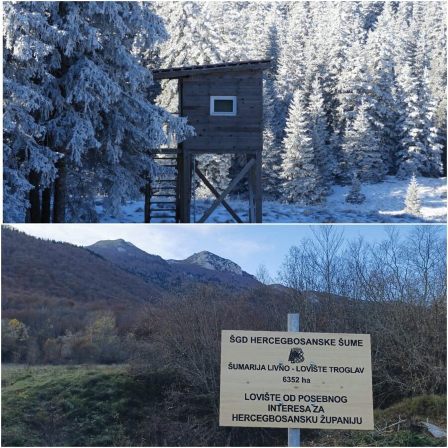 53287e0a 5a56 4a44 8383 7a3e802ca1da scaled