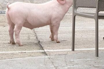 629248986_1324351256391680_7419546332236964972_n