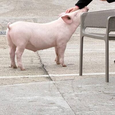 629248986_1324351256391680_7419546332236964972_n