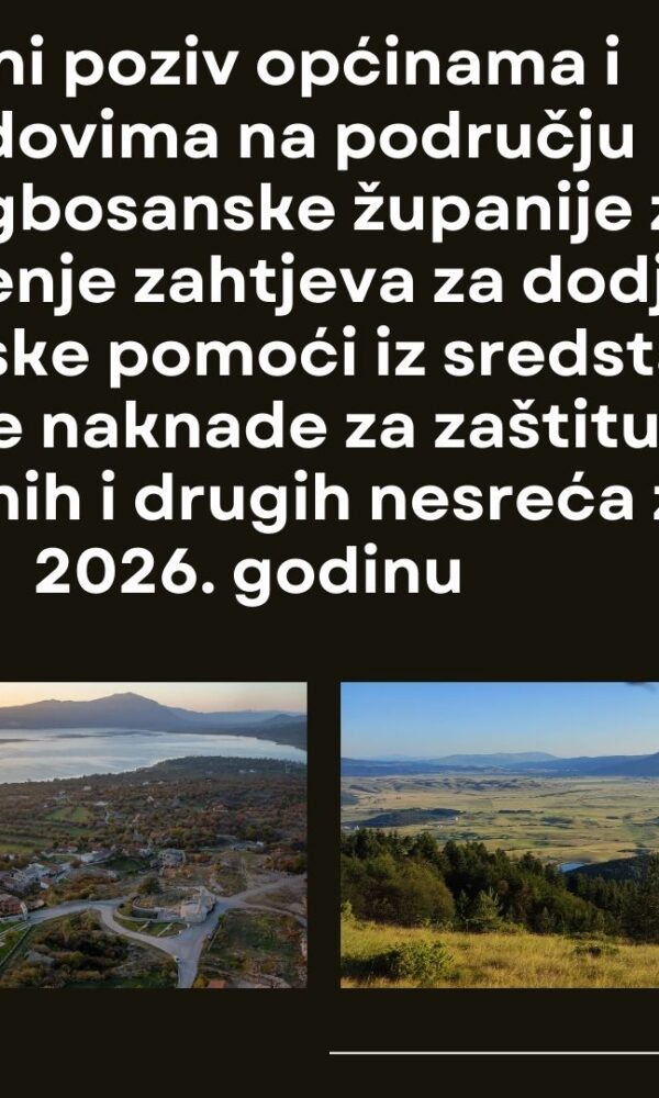 Black and White Simple Illustrated Protecting Nature Presentation 600x1000