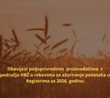 Brown Aesthetic Wheat Fields Slow Living Instagram Post  360x320