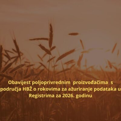 Brown Aesthetic Wheat Fields Slow Living Instagram Post