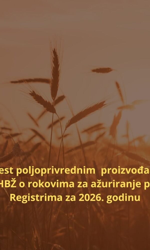 Brown Aesthetic Wheat Fields Slow Living Instagram Post  600x1000