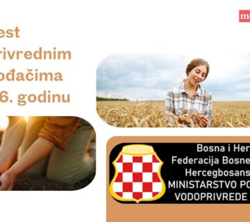 Brown and White Modern Agriculture Presentation 360x320