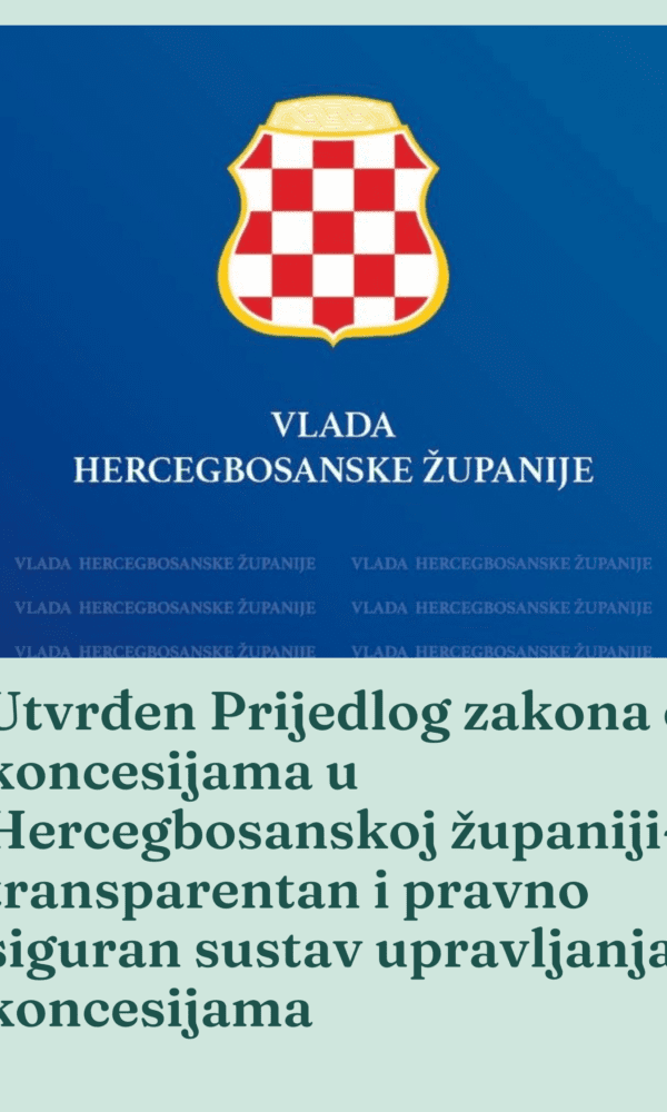 Community Government Updates Crisis Response Poster in Mint Green Dark Green Soft Minimalist Style 600x1000