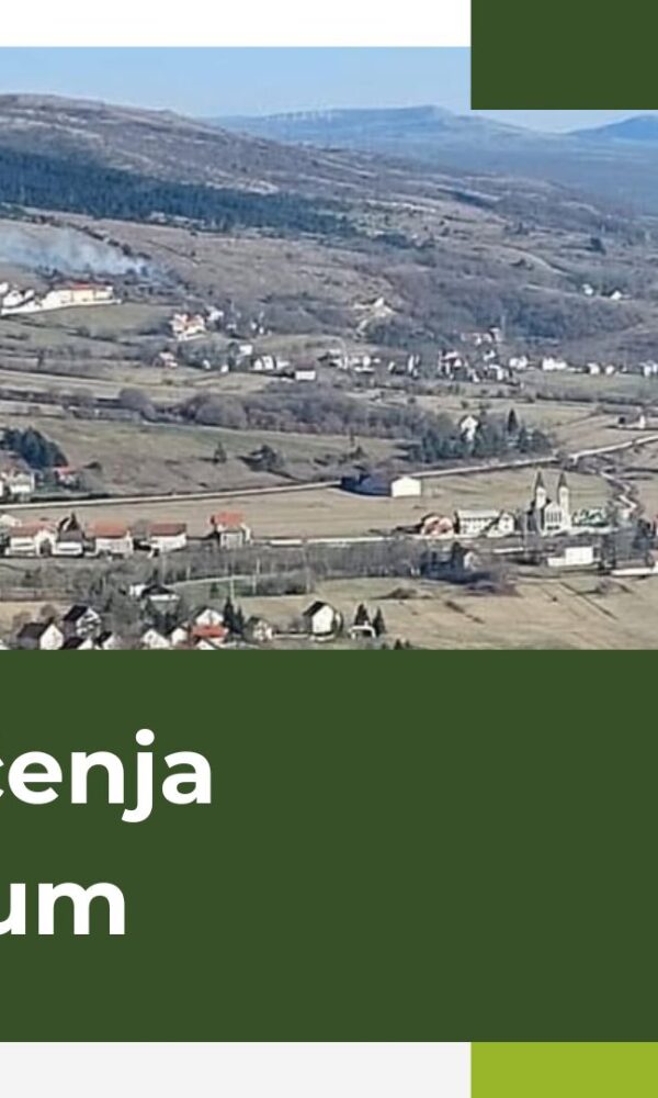 Green Modern Agriculture Presentation 600x1000