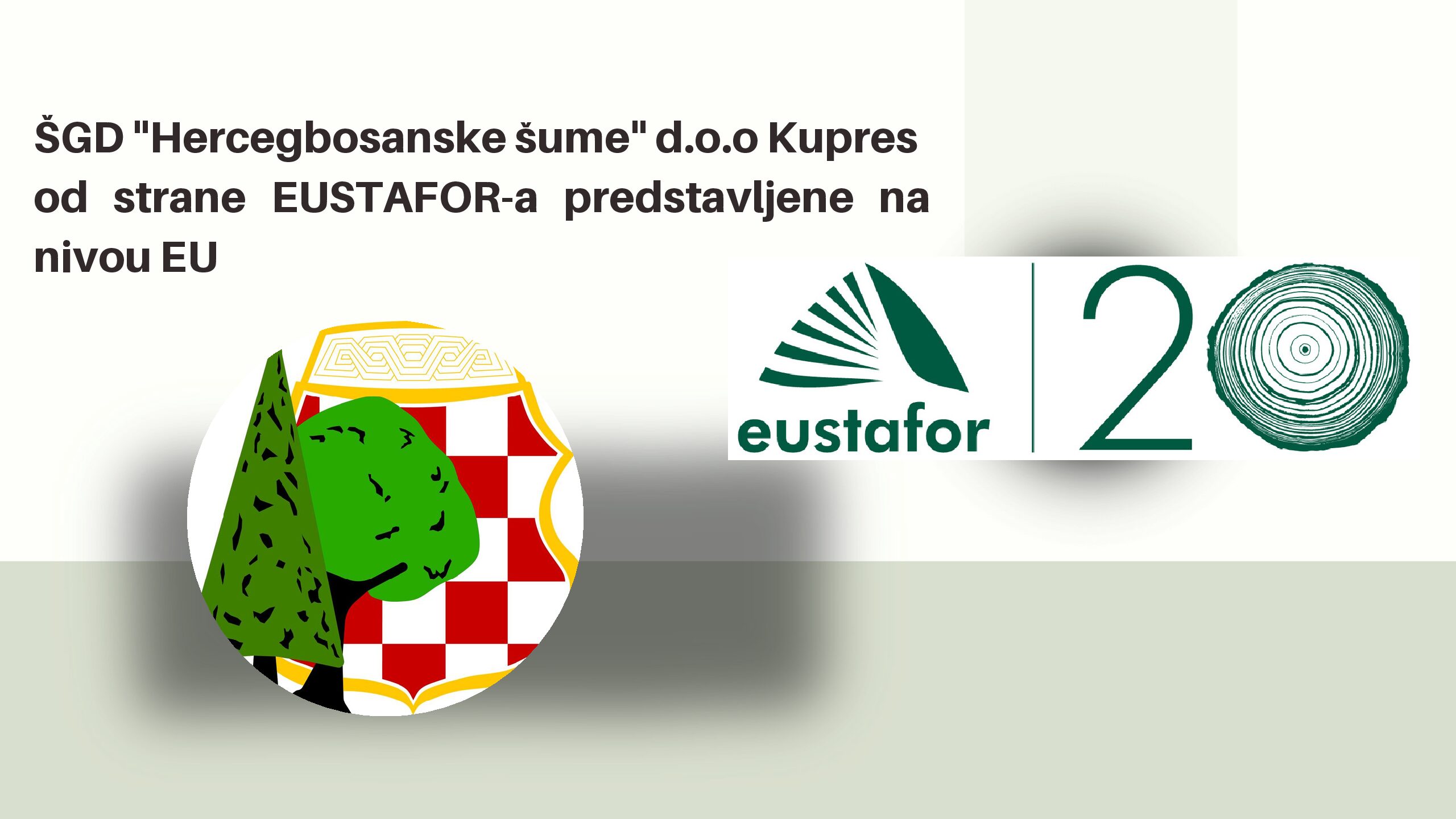 Green and Dark Green Minimalist Restoring The Forest Presentation pdf