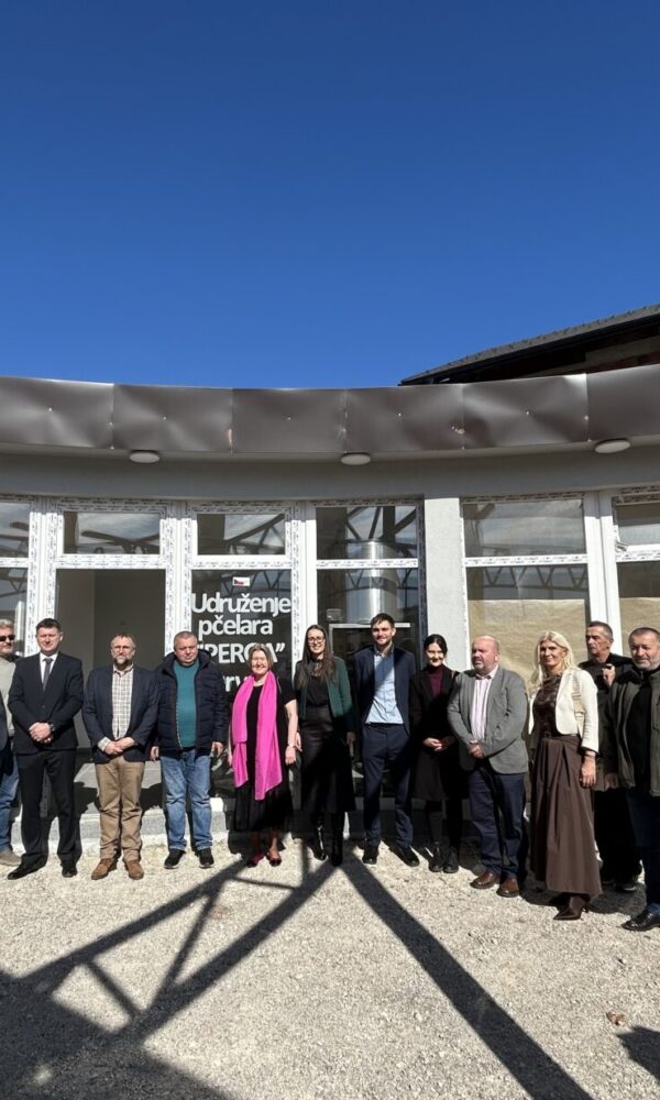 IMG 4491 1536x1233 1 600x1000