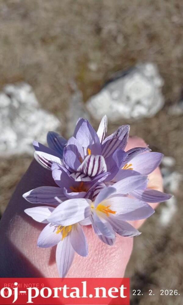 WhatsApp Image 2026 02 22 at 13 54 27 600x1000