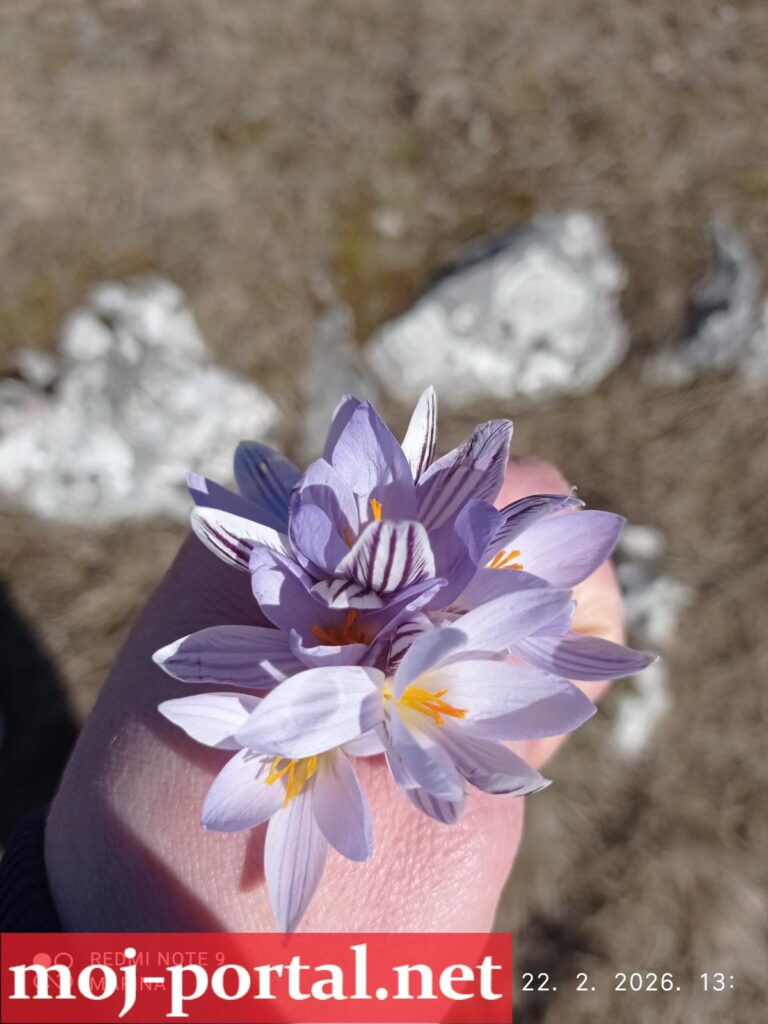 WhatsApp Image 2026 02 22 at 13 54 27