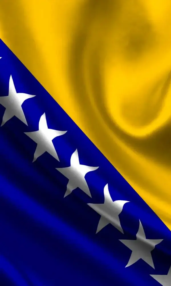 Bih zastava 600x1000