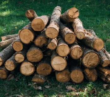 drva u dvorištu kuće