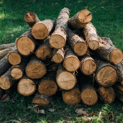 drva u dvorištu kuće