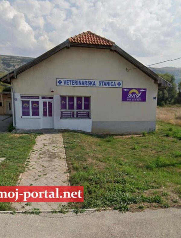 Ee229b14 7cb5 4c3f 98a3 27343b2142dd 600x788