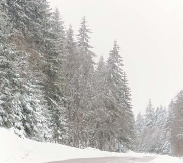 29762d0d 209c 4b8d bb38 51f2a94268f7 360x320