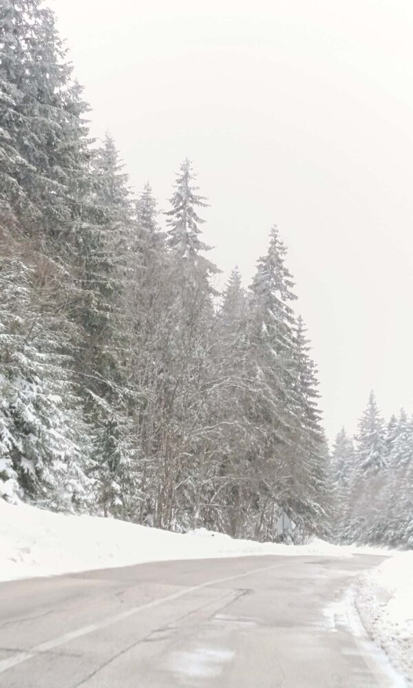 29762d0d 209c 4b8d bb38 51f2a94268f7 600x1000