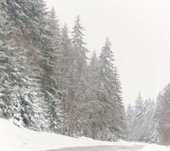 29762d0d-209c-4b8d-bb38-51f2a94268f7 29762d0d-209c-4b8d-bb38-51f2a94268f7