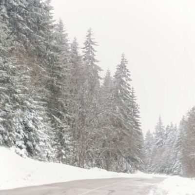 29762d0d-209c-4b8d-bb38-51f2a94268f7 29762d0d-209c-4b8d-bb38-51f2a94268f7