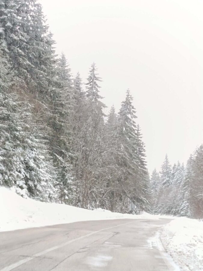 29762d0d 209c 4b8d bb38 51f2a94268f7 scaled