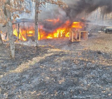 643460004 122197086752544662 1439363966320266540 n 360x320