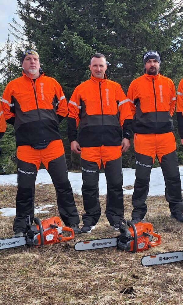 645781773 1666962598059333 5604217594666972533 n 600x1000