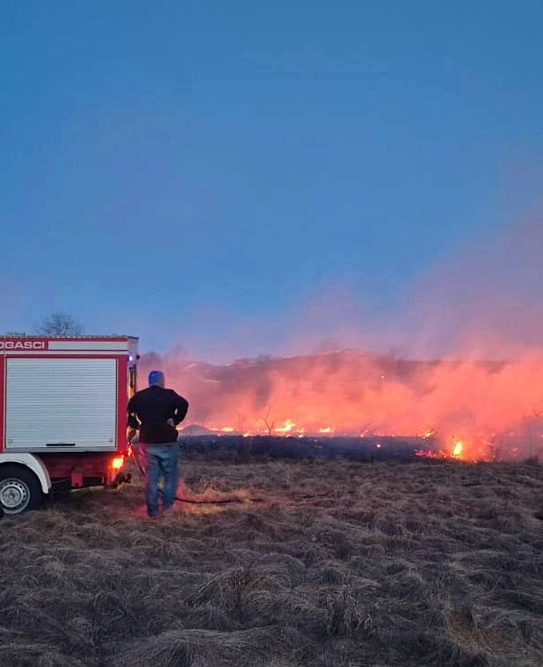 646142654 914779071522989 2996083619511367754 n 1 600x738