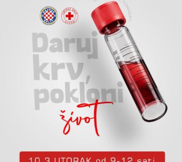 646362606 959145796845627 5849091034006584575 n 360x320