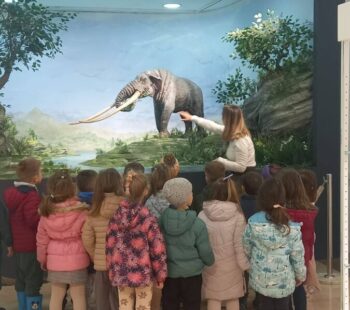 646890637_950167764184855_9022758777567485422_n 646890637_950167764184855_9022758777567485422_n