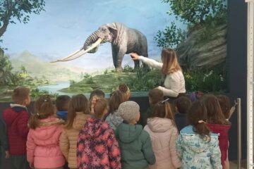 646890637_950167764184855_9022758777567485422_n 646890637_950167764184855_9022758777567485422_n