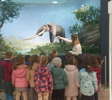 646890637 950167764184855 9022758777567485422 n 360x320