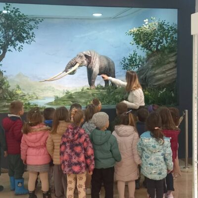 646890637_950167764184855_9022758777567485422_n 646890637_950167764184855_9022758777567485422_n