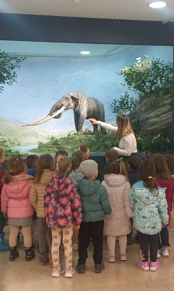 646890637 950167764184855 9022758777567485422 n 600x1000