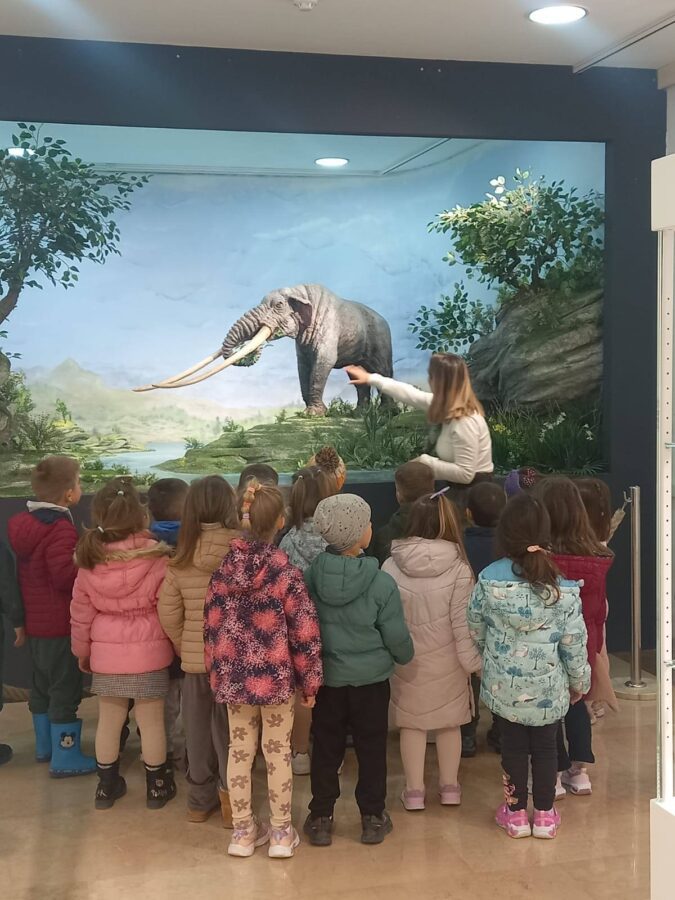 646890637 950167764184855 9022758777567485422 n