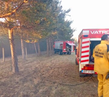 648989366 916458241355072 3220526943837302411 n 360x320