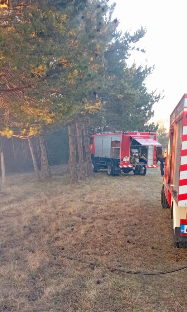 648989366 916458241355072 3220526943837302411 n 600x1000