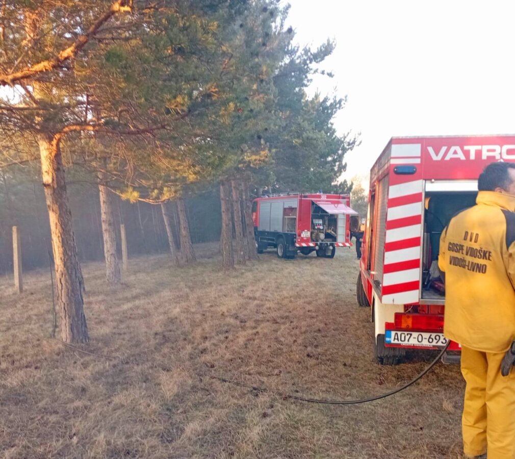 648989366 916458241355072 3220526943837302411 n scaled