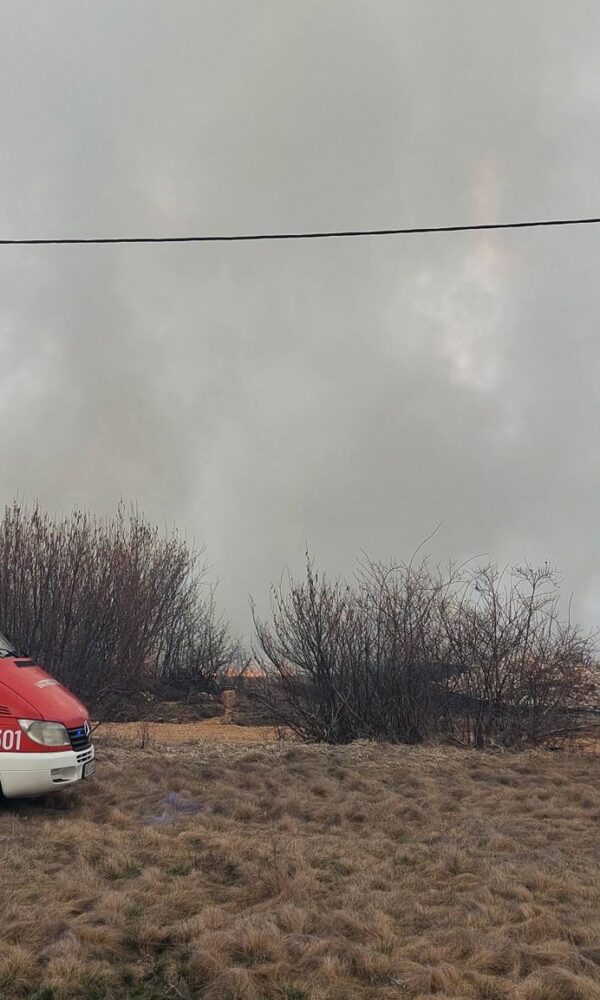 651015968 922749197392643 30385984441837059 n 600x1000