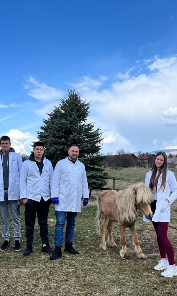 651180040 949537654258968 6126574119823640249 n 600x1000