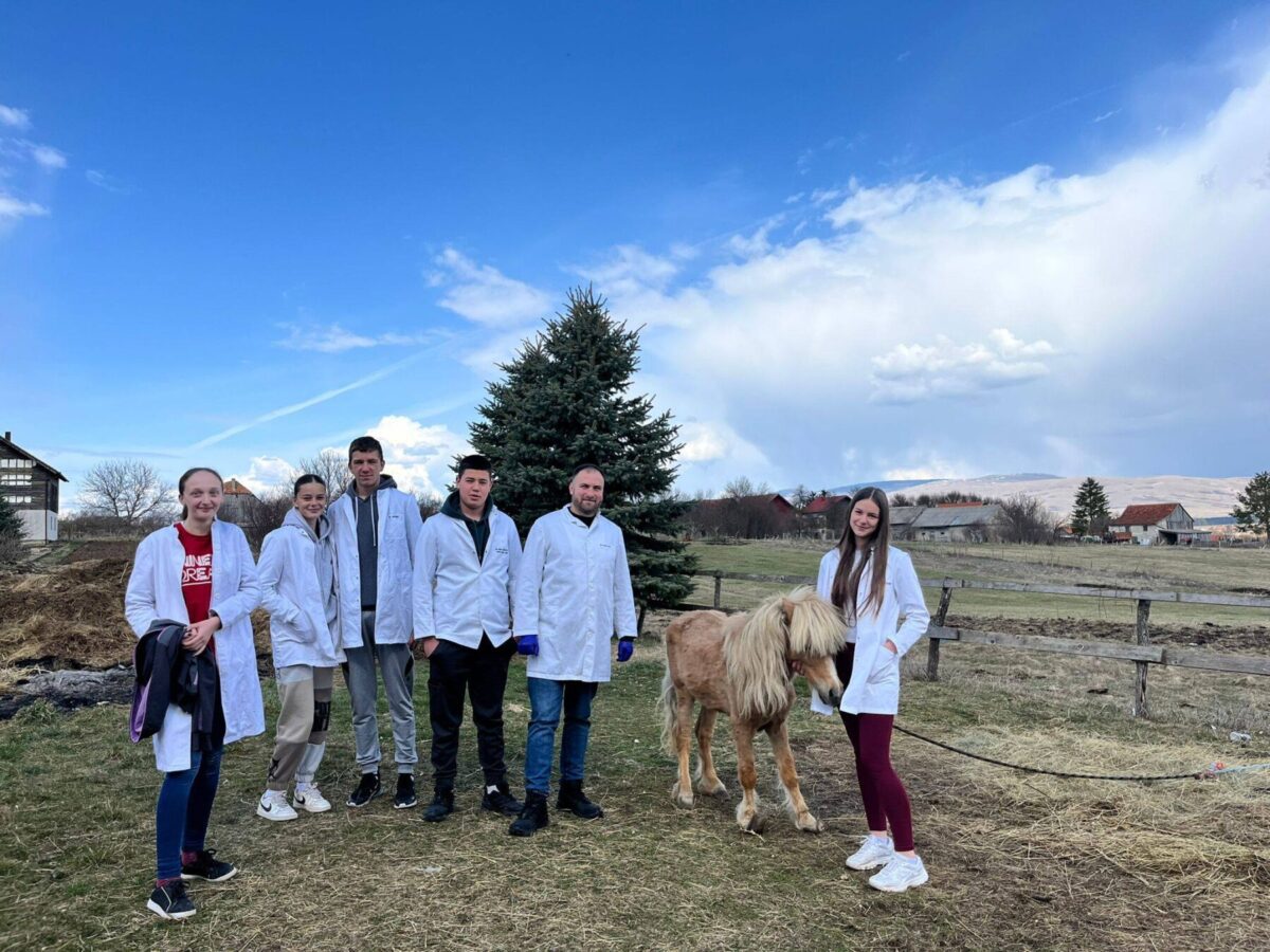 651180040 949537654258968 6126574119823640249 n scaled