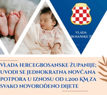 Beige Brown Cute Aesthetic Newborn Baby Photo Collage 360x320