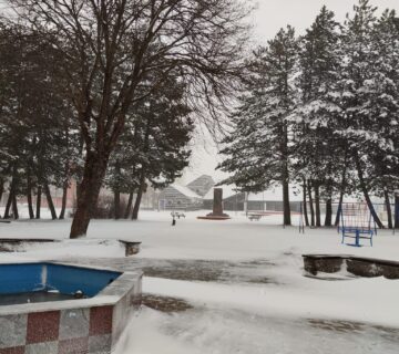 WhatsApp Image 2026 03 18 at 06 59 20 1 360x320