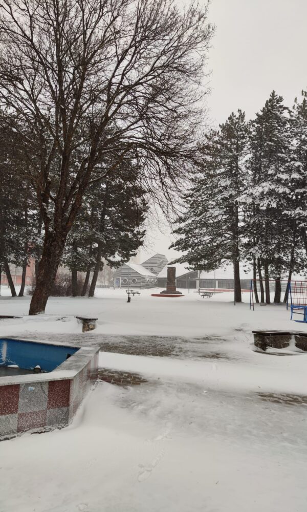 WhatsApp Image 2026 03 18 at 06 59 20 1 600x1000