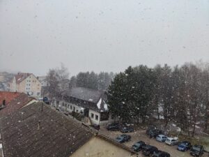 WhatsApp Image 2026-03-23 at 08.24.16 WhatsApp Image 2026 03 23 at 08 24 16