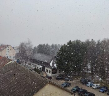 WhatsApp Image 2026-03-23 at 08.24.16 WhatsApp Image 2026-03-23 at 08.24.16