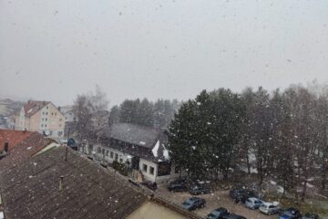 WhatsApp Image 2026-03-23 at 08.24.16 WhatsApp Image 2026-03-23 at 08.24.16