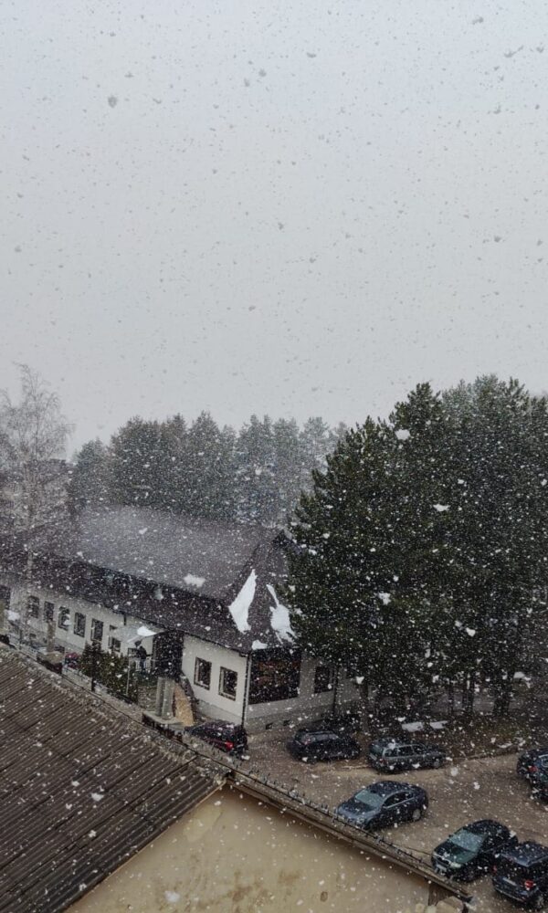 WhatsApp Image 2026 03 23 at 08 24 16 600x1000